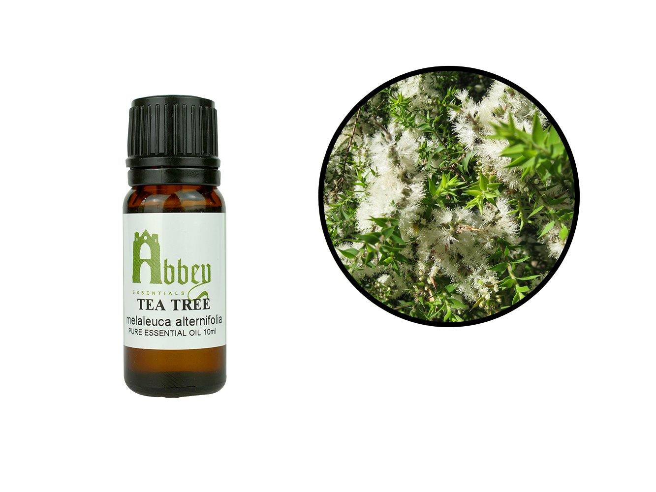 Tea Tree Essential Oil-0