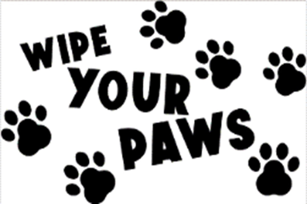 Doormat 60cm x 40cm - 'Wipe Your Paws' (D2) - Absorbent Coir Mat for Indoor/Outdoor-2