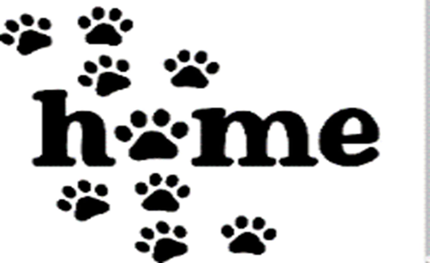 Doormat 60cm x 40cm - 'Home' (Paws) - Absorbent Coir Mat for Indoor/Outdoor-2