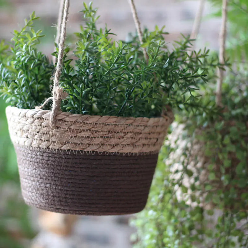 Woven Hanging Basket for Indoor Plant Decoration