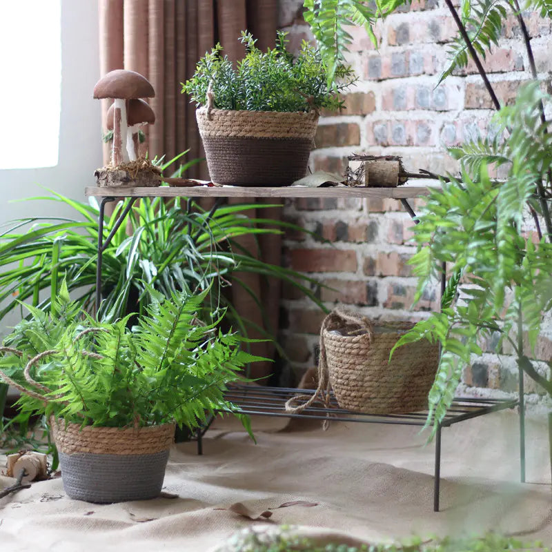 Woven Hanging Basket for Indoor Plant Decoration