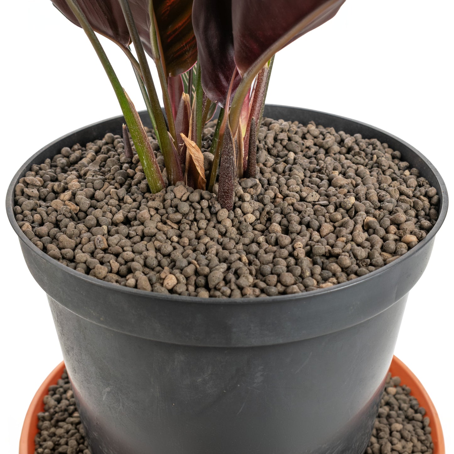 Clay Hydroponic Aggregate Pebbles, 1mm - 4mm-4