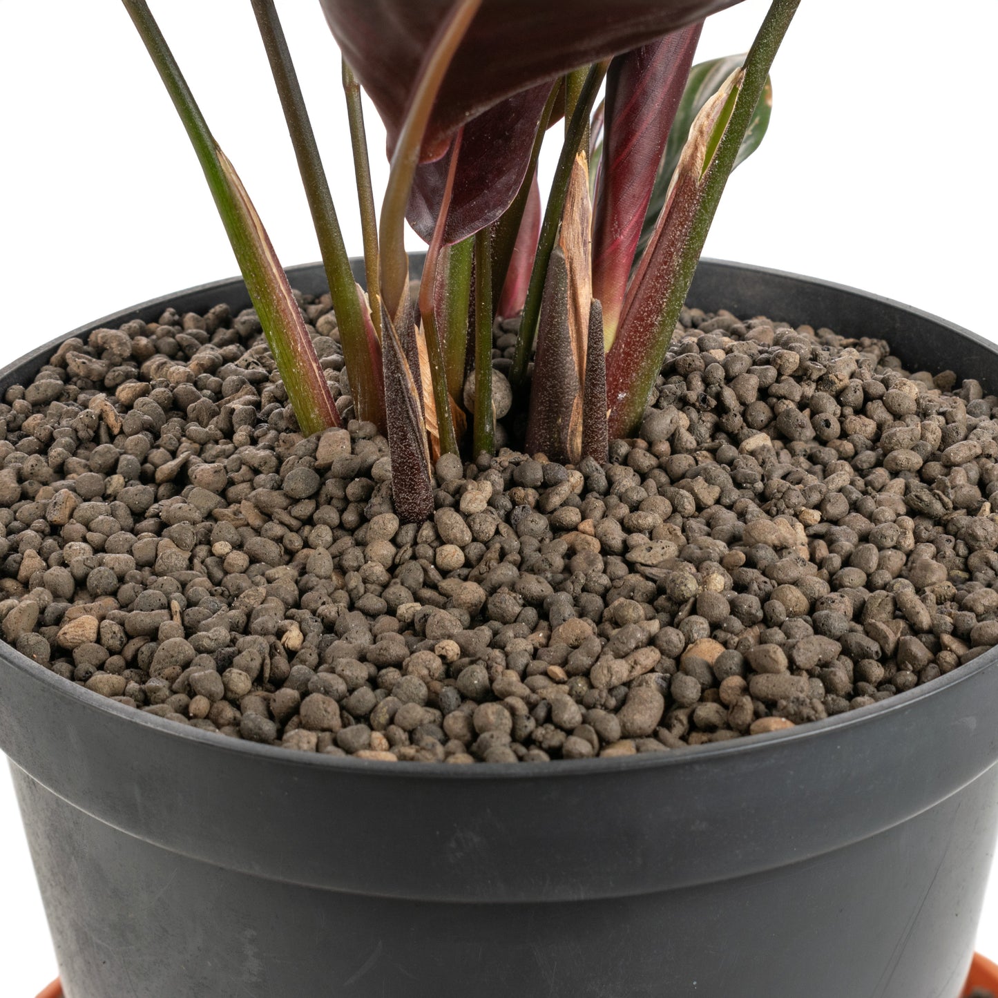 Clay Hydroponic Aggregate Pebbles, 1mm - 4mm-1