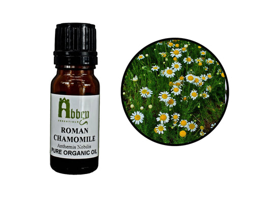 Chamomile Roman Essential Oil-0