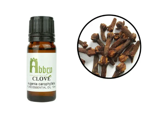 Clove Essential Oil