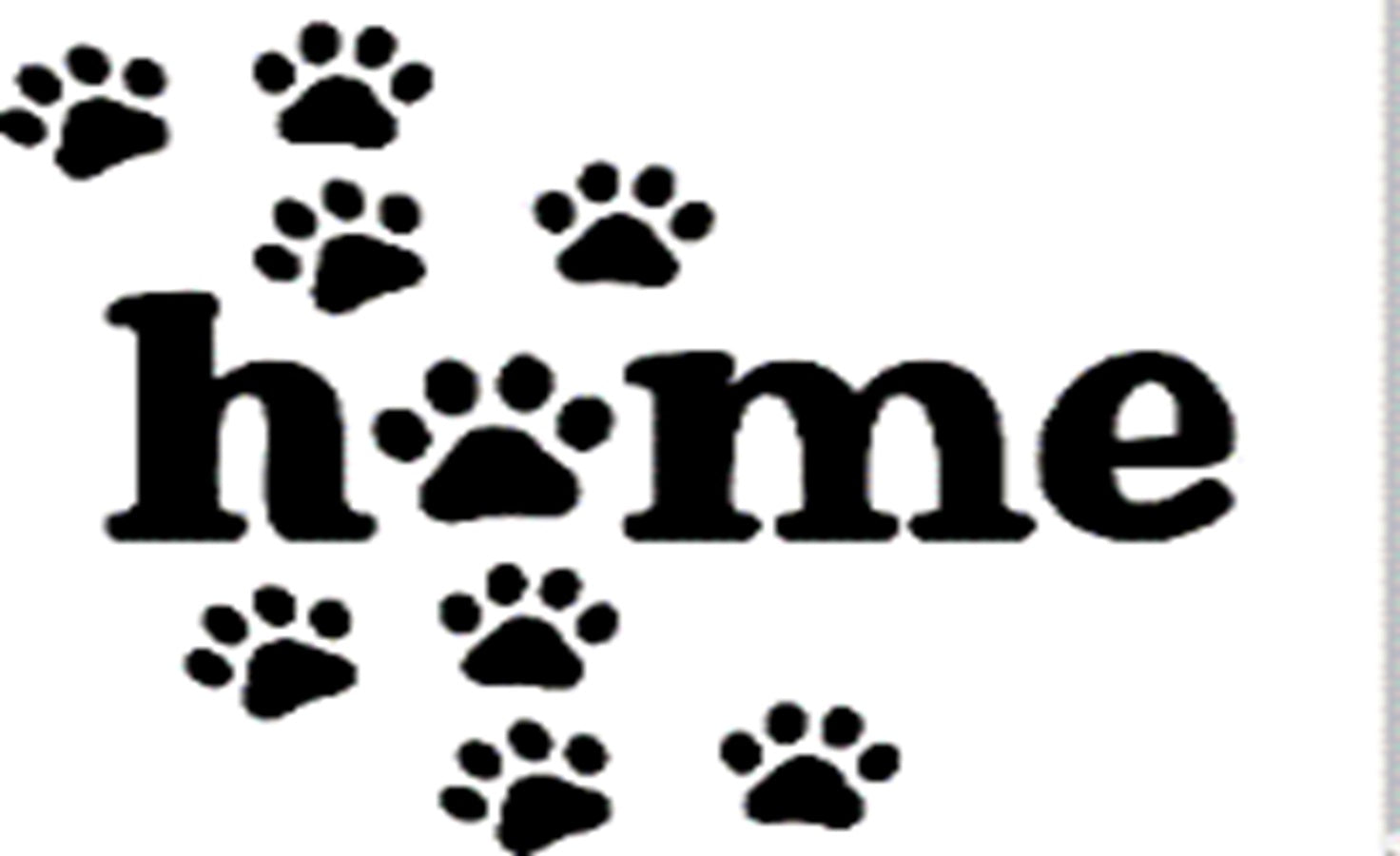 Doormat 60cm x 40cm - 'Home' (Paws) - Absorbent Coir Mat for Indoor/Outdoor-2