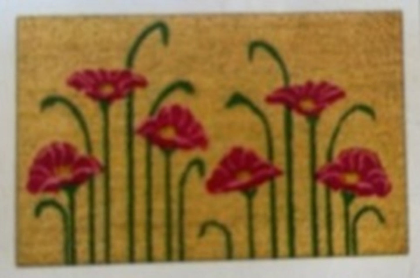 Doormat 60cm x 40cm - Poppy - Absorbent Coir Mat for Indoor/Outdoor-3