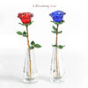 EcoGoss™ Crystal Red Rose with/without Vase