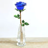 EcoGoss™ Crystal Red Rose with/without Vase