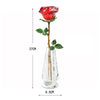 EcoGoss™ Crystal Red Rose with/without Vase