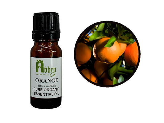 Orange (Sweet) Organic-0