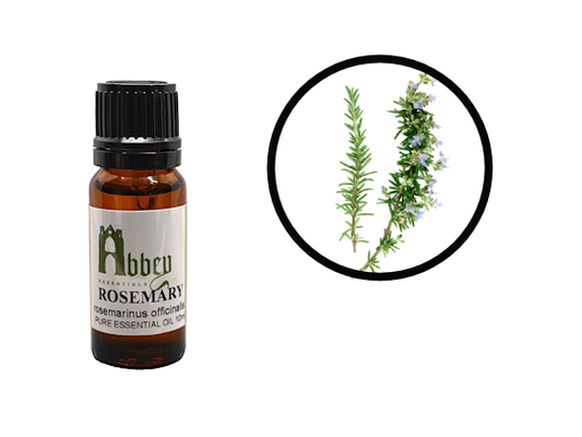 Rosemary Essential Oil-0
