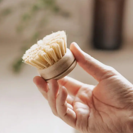 Natural Washing Up Brushes - 6-Piece Starter Set