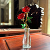 EcoGoss™ Crystal Red Roses with Vase