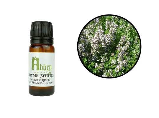Thyme Essential Oil