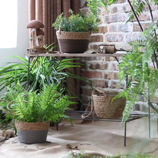 Woven Hanging Basket for Indoor Plant Decoration